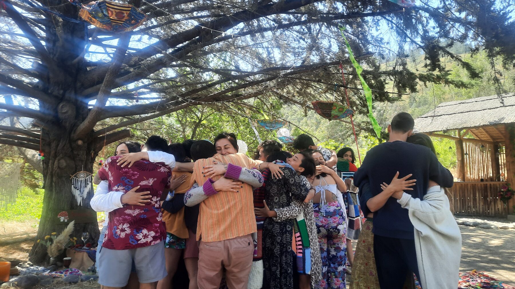 Personas reunidas en un espacio natural