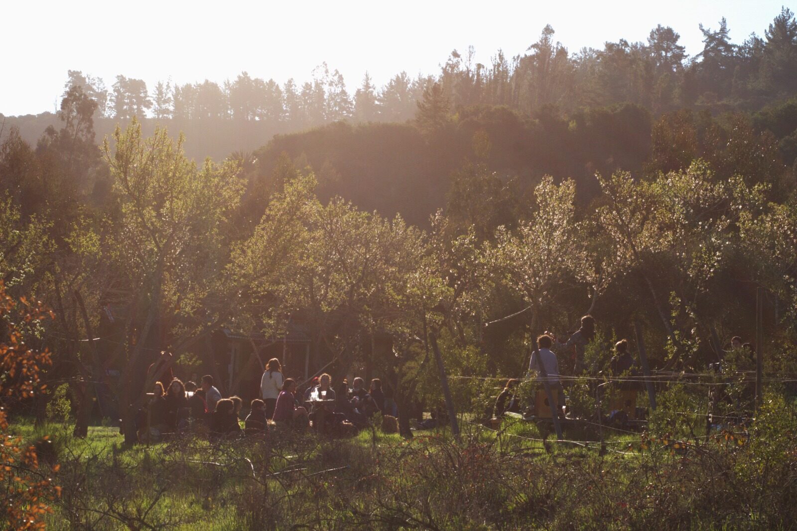 Bosque y naturaleza