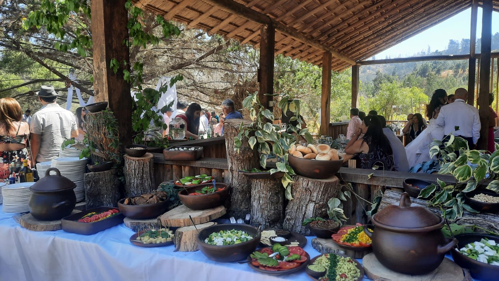 Cocina y gastronomía